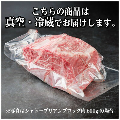 【ふるさと納税】飛騨牛 シャトーブリアンブロック 約600g 【冷蔵便】A4～A5等級 黒毛和牛 ステーキなどに【配送不可地域：離島】【1640235】