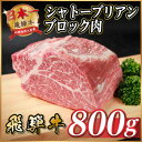 【ふるさと納税】飛騨牛 シャトーブリアンブロック 約800g 【冷蔵便】A4〜A5等級 黒毛和牛 ステーキなどに【配送不可地域:離島】【1640239】