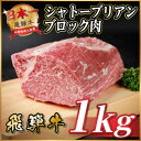 【ふるさと納税】飛騨牛 シャトーブリアンブロック 約1kg 【冷蔵便】A4〜A5等級 黒毛和牛 ステーキなどに【配送不可地域:離島】【1640243】