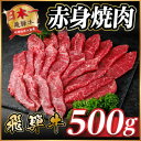 【ふるさと納税】飛騨牛 赤身(焼肉・BBQ用) 約500g【冷蔵便】A4~A5等級 黒毛和牛【配送不可地域:離島】【1646144】