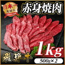 【ふるさと納税】飛騨牛 赤身(焼肉・BBQ用) 約1kg(約500g×2)【冷蔵便】A4~A5等級 黒毛和牛【配送不可地域:離島】【1646172】