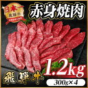 【ふるさと納税】飛騨牛 赤身(焼肉・BBQ用) 約1.2kg(約300g×4)【冷蔵便】A4~A5等級 黒毛和牛【配送不可地域:離島】【1646184】