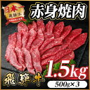 【ふるさと納税】飛騨牛 赤身(焼肉・BBQ用) 約1.5kg(約500g×3)【冷蔵便】A4~A5等級 黒毛和牛【配送不可地域:離島】【1646189】