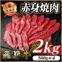 【ふるさと納税】飛騨牛 赤身(焼肉・BBQ用) 約2kg(約500g×4)【冷蔵便】A4~A5等級 黒毛和牛【配送不可地域:離島】【1646215】
