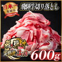 【ふるさと納税】【毎月定期便】飛騨牛 切り落とし 約600g【冷蔵便】全3回【配送不可地域:離島】【4055014】