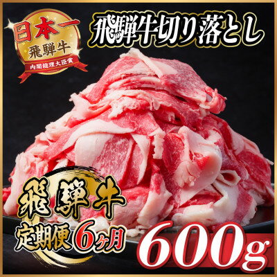 【ふるさと納税】【毎月定期便】飛騨牛　切り落とし　約600g【冷蔵便】全6回【配送不可地域：離島】【4055015】