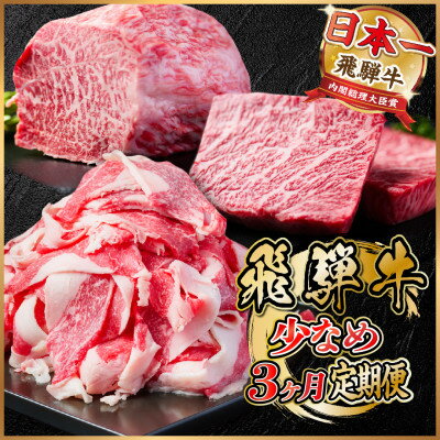[毎月定期便]飛騨牛 少なめ定期便 計1kg[冷蔵便]全3回[配送不可地域:離島]