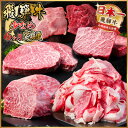 【ふるさと納税】【毎月定期便】飛騨牛 少なめ定期便 計2.5kg【冷蔵便】全6回【配送不可地域:離島】【4055503】