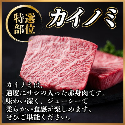【ふるさと納税】【毎月定期便】飛騨牛 定期便 計1.4kg【冷蔵便】全3回【配送不可地域：離島】【4055505】