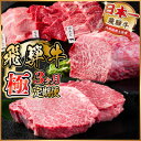 【ふるさと納税】【毎月定期便】飛騨牛 極定期便 計1.7kg【冷蔵便】全3回【配送不可地域:離島】【4055508】