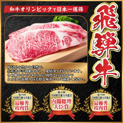 【ふるさと納税】【毎月定期便】飛騨牛 A4等級切り落とし 計7.2kg全6回【配送不可地域：離島】【4055983】
