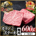 【ふるさと納税】【毎月定期便】飛騨牛 カイノミステーキ定期便 毎月600g【冷蔵便】A4〜A5厳選希少部位 全12回【配送不可地域:離島】【4055998】