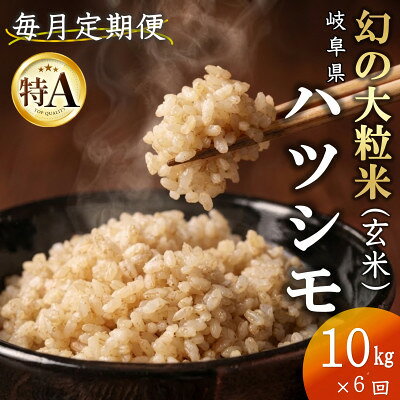 【毎月定期便】岐阜県産ハツシモ(玄米)10kg全6回【配送不可地域：離島】【4056235】