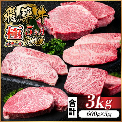 【ふるさと納税】【毎月定期便】飛騨牛 極ステーキ定期便 計約3kg【冷蔵便】全5回【配送不可地域:離島】【4056916】 【ふるさと納税】【毎月定期便】飛騨牛 極ステーキ定期便 計約3kg【冷蔵便】全5回【配送不可地域:離島】【4056916】