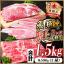 【ふるさと納税】【毎月定期便】飛騨牛 特上定期便 計1.5kg全3回【配送不可地域:離島】【4057130】