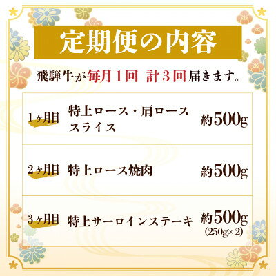 【ふるさと納税】【毎月定期便】飛騨牛 特上定期便 計1.5kg全3回【配送不可地域：離島】【4057130】 f212091-hashima-10001570 岐阜県羽島市 サンプル画像2