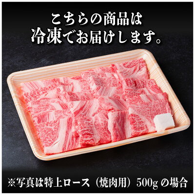 【ふるさと納税】【毎月定期便】飛騨牛 特上定期便 計1.5kg全3回【配送不可地域：離島】【4057130】 f212091-hashima-10001570 岐阜県羽島市 サンプル画像3