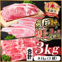 【ふるさと納税】【毎月定期便】飛騨牛 特上定期便 計3kg全3回【配送不可地域:離島】【4057132】