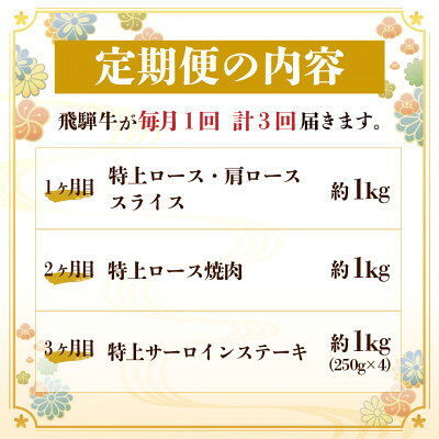 【ふるさと納税】【毎月定期便】飛騨牛 特上定期便 計3kg全3回【配送不可地域：離島】【4057132】 f212091-hashima-10001571 岐阜県羽島市 サンプル画像2