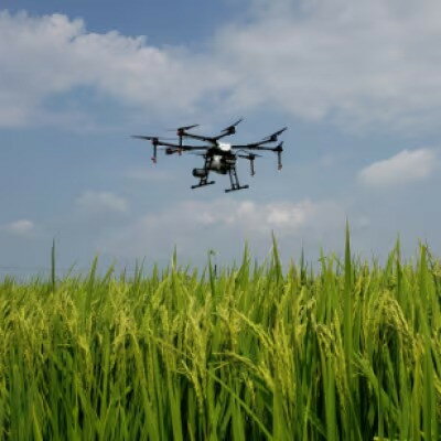 【ふるさと納税】【2ヵ月毎定期便】岐阜県産ハツシモ　10kg(精米5kg×2袋)全3回【4059534】