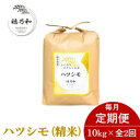 【ふるさと納税】【発送月固定定期便】【先行予約】岐阜県産ハツシモ(精米)10kg全2回【配送不可地域:離島】【4066714】