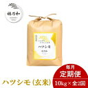 【ふるさと納税】【発送月固定定期便】【先行予約】岐阜県産ハツシモ(玄米)10kg全2回【配送不可地域:離島】【4067039】