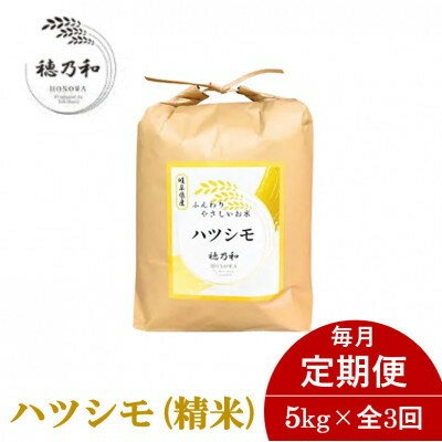 【ふるさと納税】【発送月固定定期便】【先行予約】岐阜県産ハツシモ(精米)5kg全3回【配送不可地域:離島】【4067379】