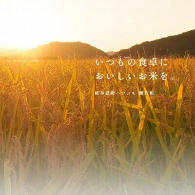 【ふるさと納税】【発送月固定定期便】【先行予約】岐阜県産ハツシモ(精米)10kg全6回【配送不可地域：離島】【4067850】