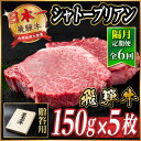 【ふるさと納税】【2ヵ月毎定期便】飛騨牛 シャトーブリアン750g【冷蔵便】A4〜A5等級 黒毛和牛 贈答用全6回【配送不可地域:離島】【4070275】