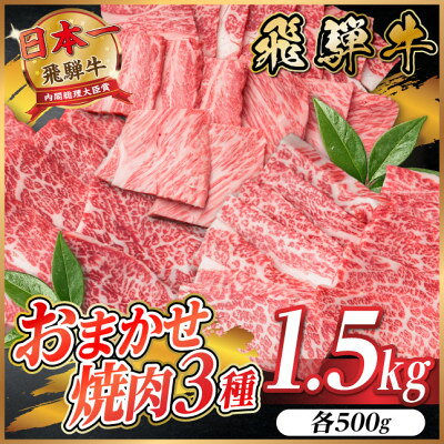 【訳あり】飛騨牛 おまかせ焼肉3種セット1.5kg【配送不可地域：離島】【1739042】