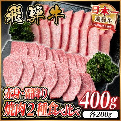 飛騨牛 焼肉2種食べ比べ(ヒレ・三角バラカルビ) 計約400g～【配送不可地域：離島】【G1745778】
