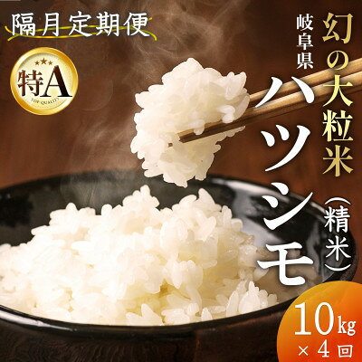 【2ヵ月毎定期便】岐阜県産ハツシモ(精米) 10kg全4回【配送不可地域：離島】【4076396】