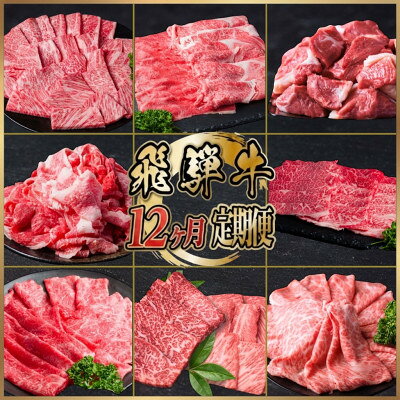 [毎月定期便]飛騨牛 厳選 定期便 計5.1kg すき焼き・しゃぶしゃぶ・焼肉・BBQ用 全12回[配送不可地域:離島]