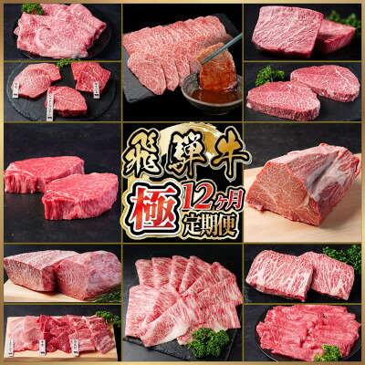 【発送月固定定期便】飛騨牛 極定期便 計5.95kg 全12回_ 定期便 飛騨牛 牛肉 和牛 すき焼き ローストビーフ ブロック カイノミ ステーキ 冷蔵【配送不可地域：離島】【4090952】