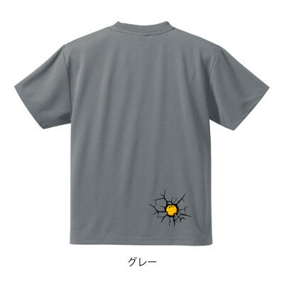 【ふるさと納税】JTTA公認　卓球ユニフォーム【男女兼用(ドライ):160サイズ】ビーザベスト　グレー【1659018】