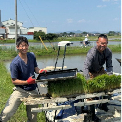 【ふるさと納税】令和7年産 岐阜県羽島市産ハツシモ 玄米30kg(30kg×1袋)【1669152】
