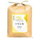 【ふるさと納税】【発送月固定定期便】【先行予約】岐阜県産ハツシモ(精米)10kg【2・3月発送】全2回【配送不可地域:離島】【4073184】