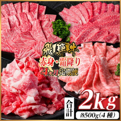 [毎月定期便]飛騨牛 赤身・霜降り定期便 計2kg カルビ・赤身・ロース(焼肉・BBQ用)全4回[配送不可地域:離島]