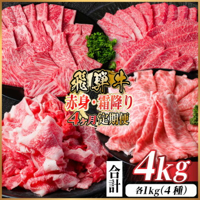 【ふるさと納税】【毎月定期便】飛騨牛　赤身・霜降り定期便　計4kg カルビ・赤身・ロース(焼肉・BBQ用..