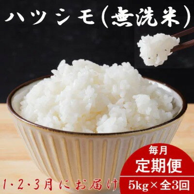 【ふるさと納税】【発送月固定定期便】生産者応援!岐阜県産ハツシモ(無洗米)5kg【1・2・3月発送】全3回【配送不可地域：離島】【4075502】