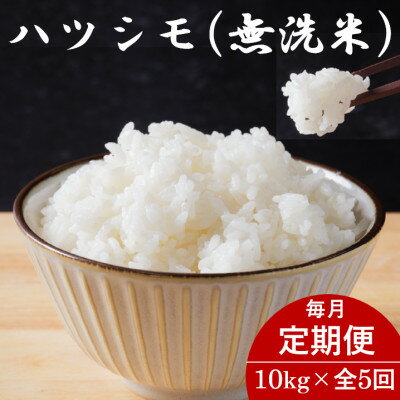 【ふるさと納税】【毎月定期便】岐阜県産ハツシモ(無洗米) 10kg全5回【配送不可地域:離島】【4076352】