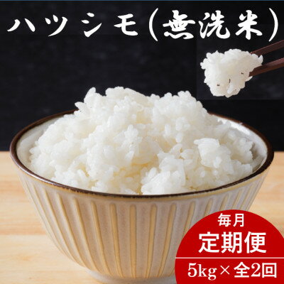 ڤդ뤵Ǽǡۡء۴츩ϥĥ(̵) 5kg2Բϰ衧Υۡ4076366