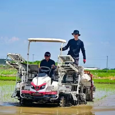 【ふるさと納税】【毎月定期便】岐阜県産ハツシモ(無洗米) 5kg全3回【配送不可地域：離島】【4076367】