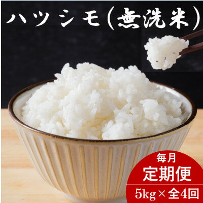 ڤդ뤵Ǽǡۡء۴츩ϥĥ(̵) 5kg4Բϰ衧Υۡ4076368