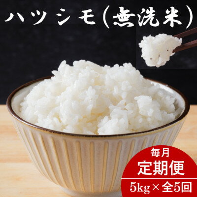 ڤդ뤵Ǽǡۡء۴츩ϥĥ(̵) 5kg5Բϰ衧Υۡ4076370