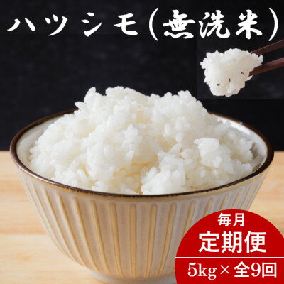 ڤդ뤵Ǽǡۡء۴츩ϥĥ(̵) 5kg9Բϰ衧Υۡ4076379