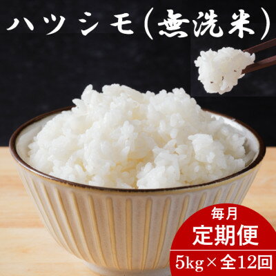 ڤդ뤵Ǽǡۡء۴츩ϥĥ(̵) 5kg12Բϰ衧Υۡ4076380