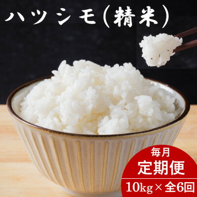 ڤդ뤵Ǽǡۡء۴츩ϥĥ() 10kg6Բϰ衧Υۡ4076387