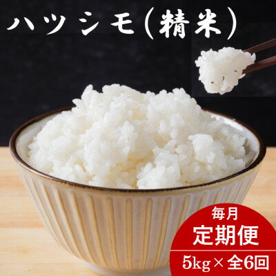 ڤդ뤵Ǽǡۡء۴츩ϥĥ() 5kg6Բϰ衧Υۡ4076407