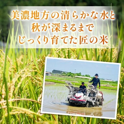 【ふるさと納税】【発送月固定定期便】【先行予約】生産者応援!岐阜県産ハツシモ(精米)10kg【2・3月発送】全2回【配送不可地域：離島】【4089357】